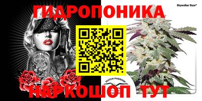 гашик Берёзовский