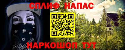 гашик Берёзовский