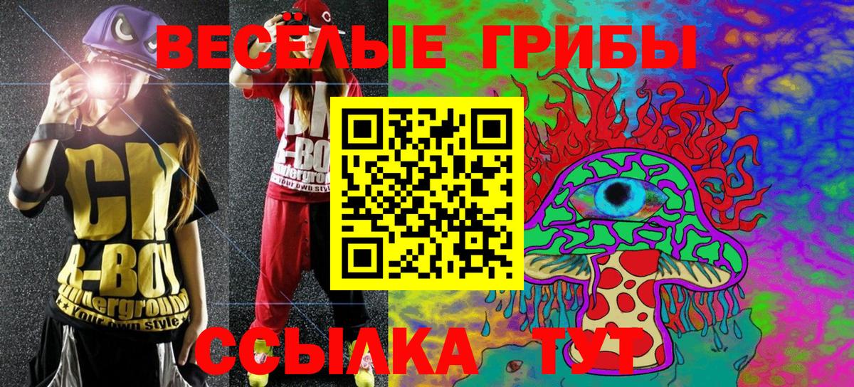 Псилоцибиновые грибы мицелий Выборг